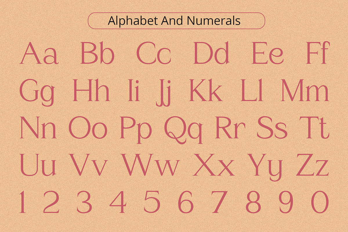 Amstir Vintage – Serif Stamp Font, a Serif Font by Craft Supply Co. (Photo 6 of 8)