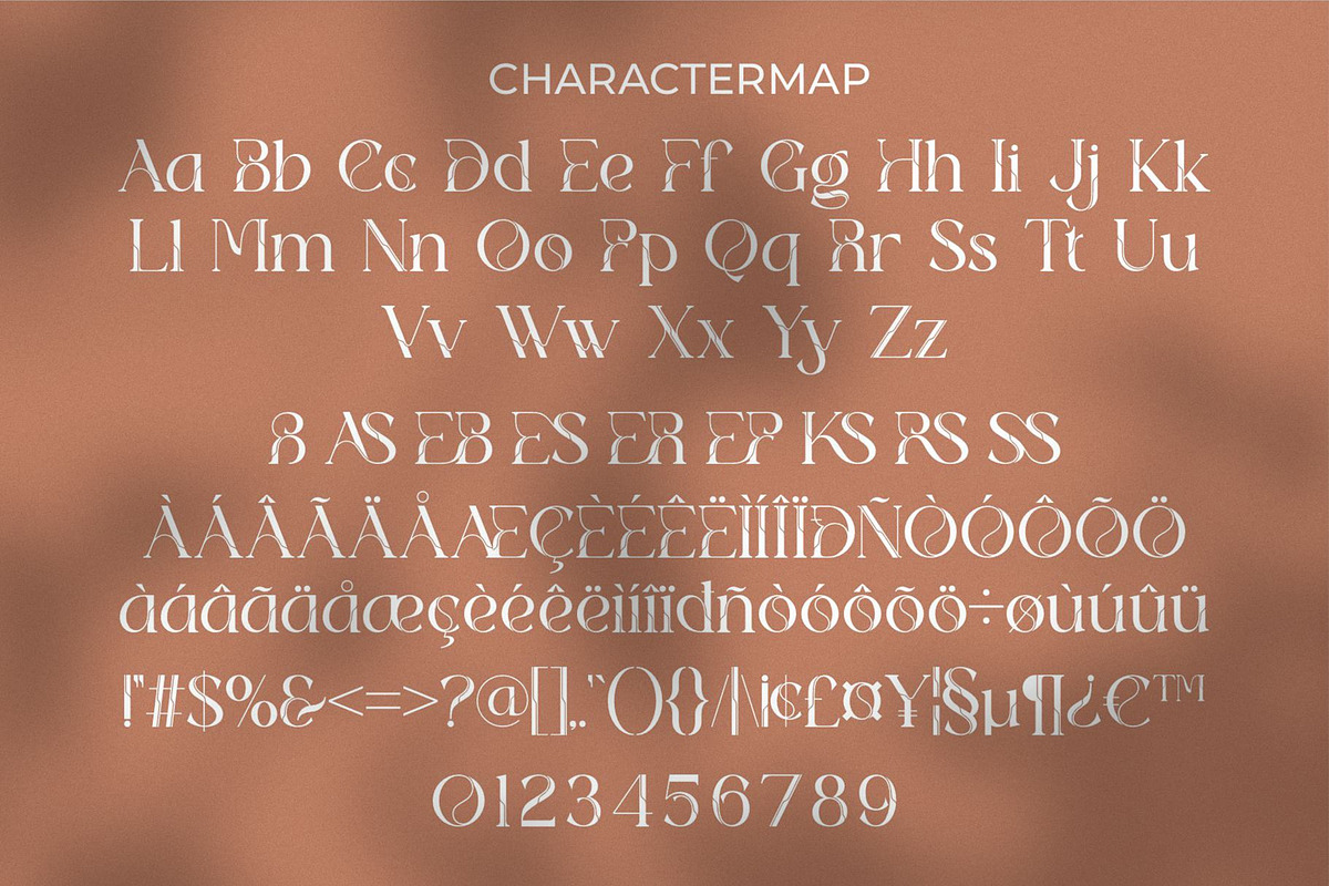 Nerial || Modern Stylish Serif Font, a Serif Font by Ermedia Studio (Photo 5 of 10)
