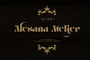 Alesana Atelier, a Sans Serif Font by Zelda Graphic (Thumbnail 12 of 12)