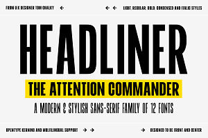 HEADLINER - A Powerful Sans Family