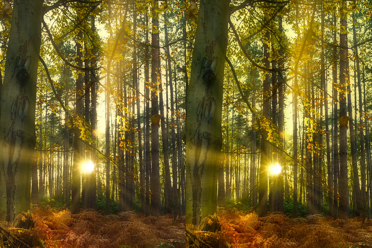 13 Landview Pro Lightroom Presets, a Preset Add-On by RamsaGraphi (Photo 10 of 10)