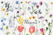 Set of watercolor flowers, a Decorative Illustration by RushkinaAntonina (Thumbnail 9 of 11)