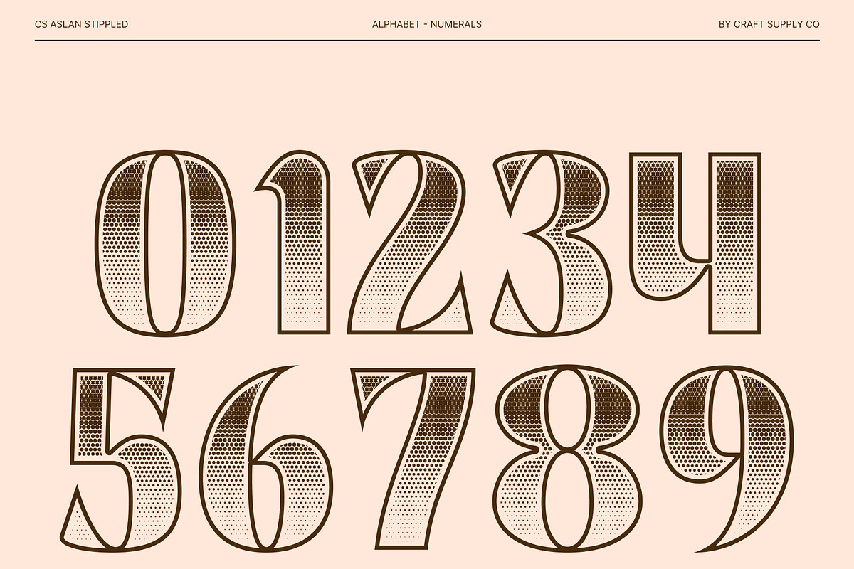 CS Aslan Stippled, a Sans Serif Font by Craft Supply Co. (Photo 4 of 8)