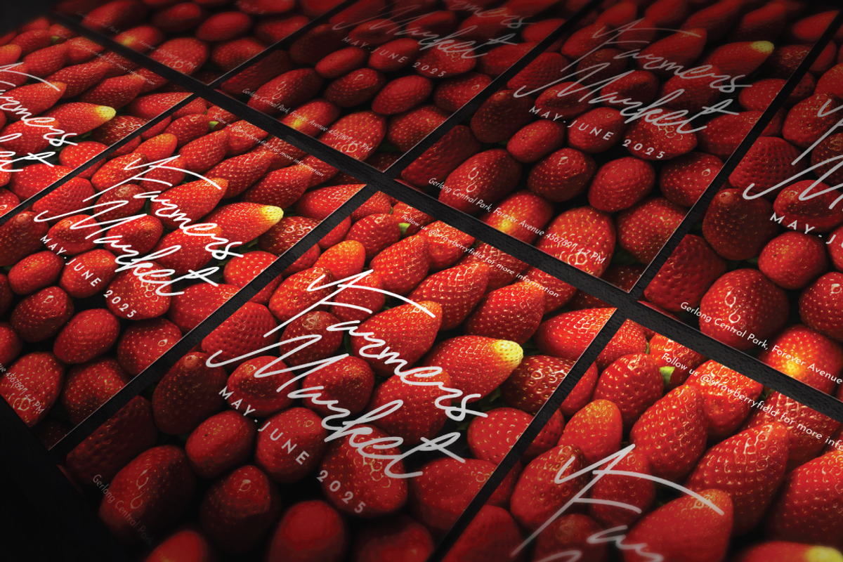 Mr. Skywhale Signature Script Font, a Handwritten Font by ashenterprise (Photo 3 of 16)