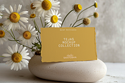 Tejas Mockup Collection, a Mac Mockup by Studio Santosha (Thumbnail 12 of 12)