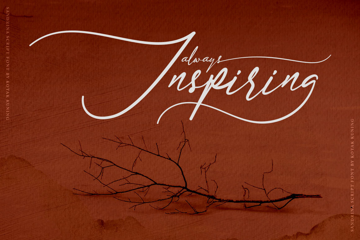 Sandrina- Elegant Script Font preview 8
