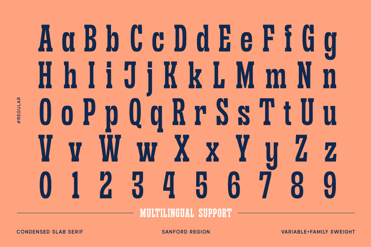 Sanford Region - Variable Font, a Slab Serif Font by Letterhend Studio (Photo 8 of 11)