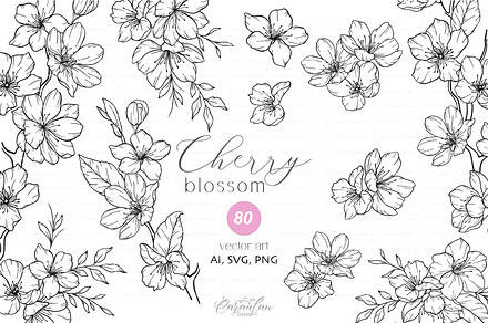 Cherry Blossom, a Decorative Illustration by CaraulanStore