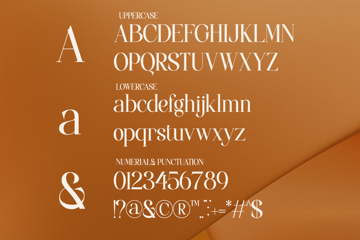 Coalissa - A Minimal Elegant Serif, a Serif Font by Qweera Studio (Photo 12 of 12)