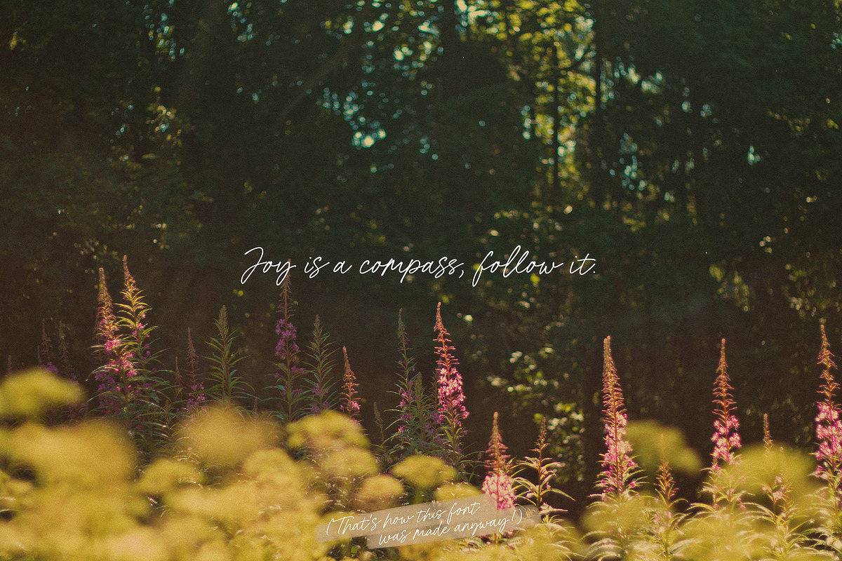 Miss Confidential handwritten font, a Handwritten Font by Minna Kaario (Photo 10 of 13)