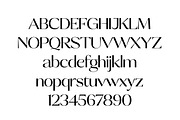 Talesha Font Family, a Serif Font by Seniors (Thumbnail 10 of 30)