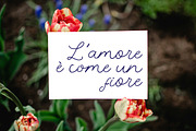 Floweryco, a Font by fopifopi (Thumbnail 5 of 6)