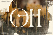 Cosmic Solace - Ligature Typeface, a Serif Font by SilverStag Type Foundry (Thumbnail 2 of 30)