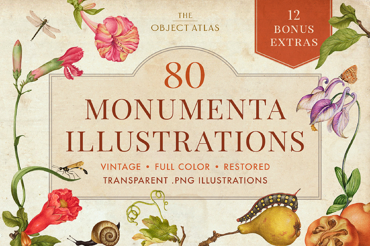 80 Vintage Nature Illustrations, an Object Graphic by The Object Atlas (Photo 1 of 11)