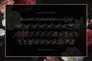 Wistallion | Classic Calligraphy, a Script Font by gracetype_studio (Thumbnail 11 of 12)