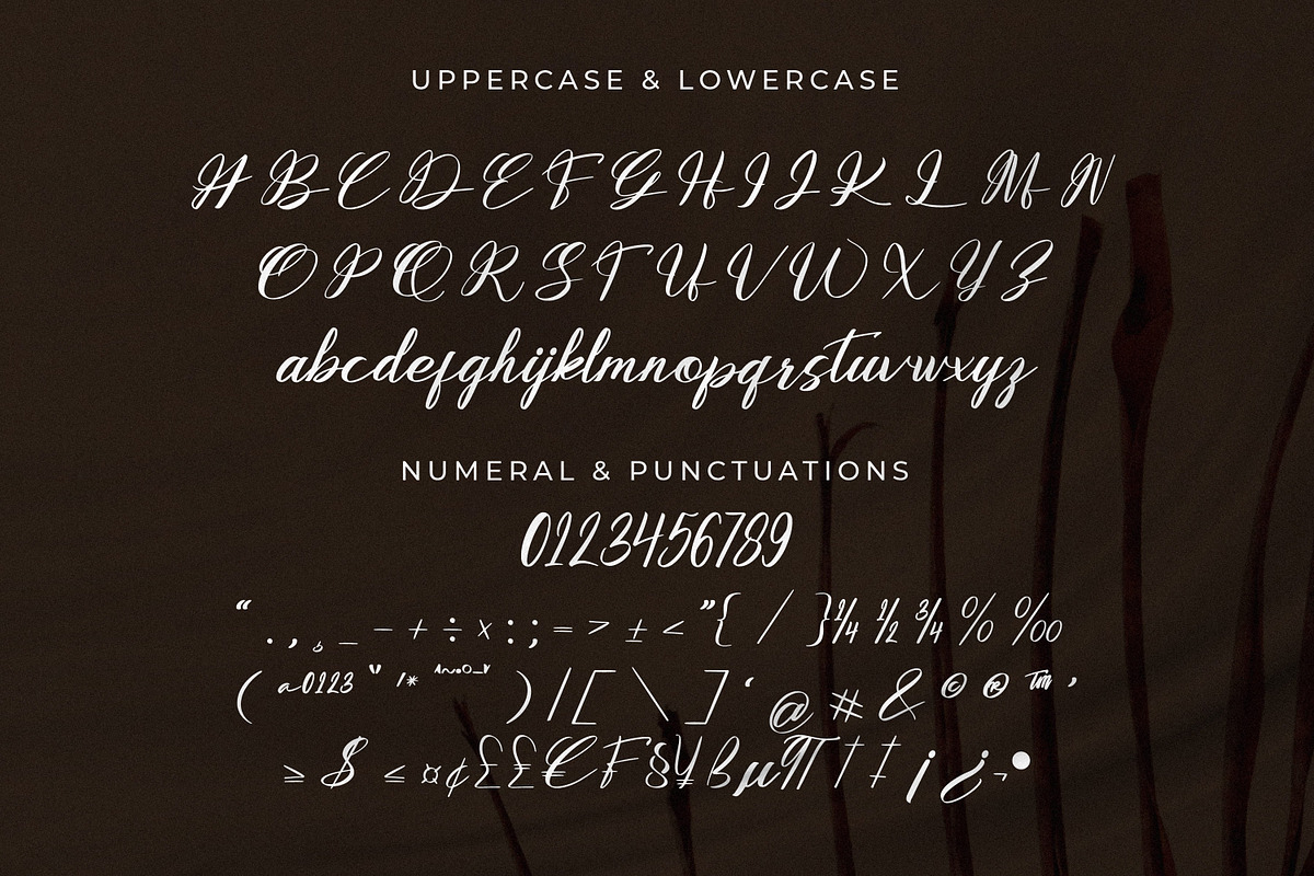 Emeline, a Script Font by Goresan Studio (Photo 10 of 15)