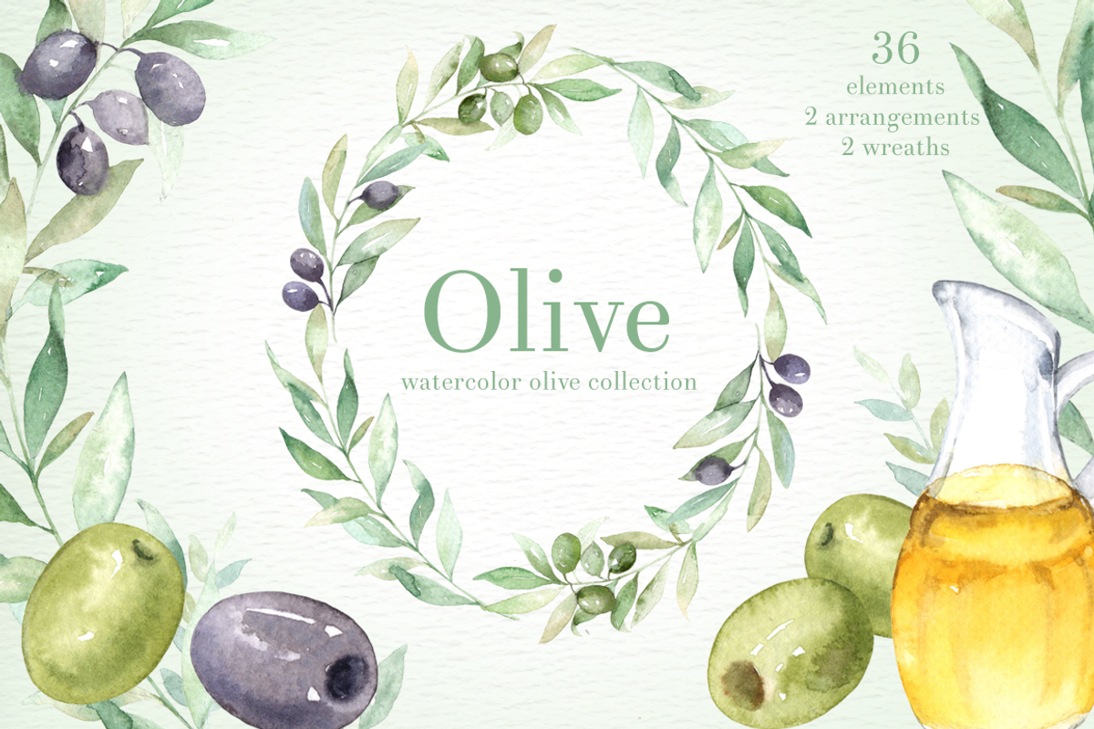 Olive Watercolor clipart, an Illustration by everysunsun (Photo 1 of 4)