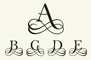 26 filigree letters for monograms, a Branding & Logo Template by Pgmart (Thumbnail 3 of 5)