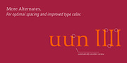 Benedikt, a Sans Serif Font by Finaltype (Thumbnail 19 of 20)
