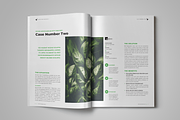Case Study Booklet, a Templates & Theme by StockInDesign (Thumbnail 4 of 10)