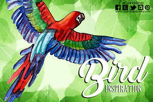 Exotic Birds Watercolor Clip Art