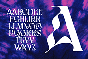 BOPHERA, a Sans Serif Font by Bagerich Type Foundry (Thumbnail 4 of 15)
