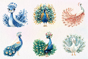 Wedding Peacock Clipart, an Illustration by CreationArt (Thumbnail 4 of 9)