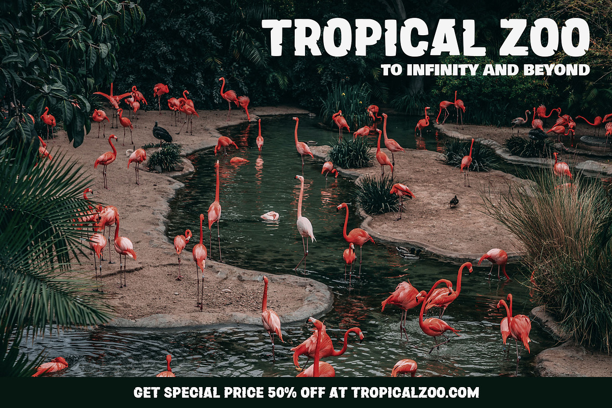 Zoonaji, a Sans Serif Font by Typia Nesia (Photo 10 of 10)