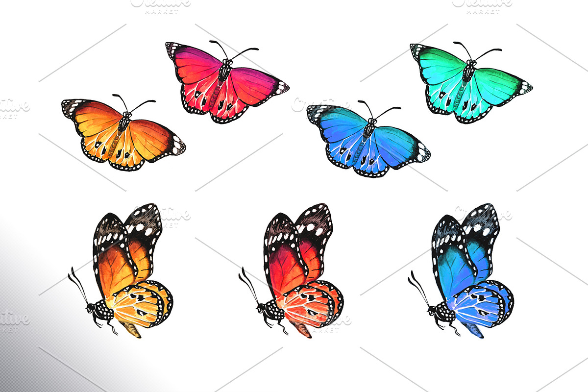 Summer Meadow, an Animal Illustration by Daria Ustiugova (Photo 4 of 6)