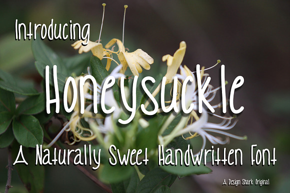 Honeysuckle preview 4