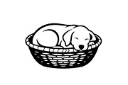 50 Woven Basket Vector Bundle, an Illustration by Designs_River (Thumbnail 21 of 51)