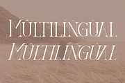 DIEGO Modern Serif Font Display, a Serif Font by Storytype Studio (Thumbnail 11 of 15)