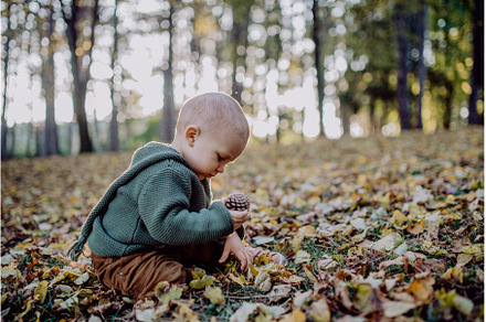 Little boy sitting in dry leaves in, a Person Photo by HalfPoint