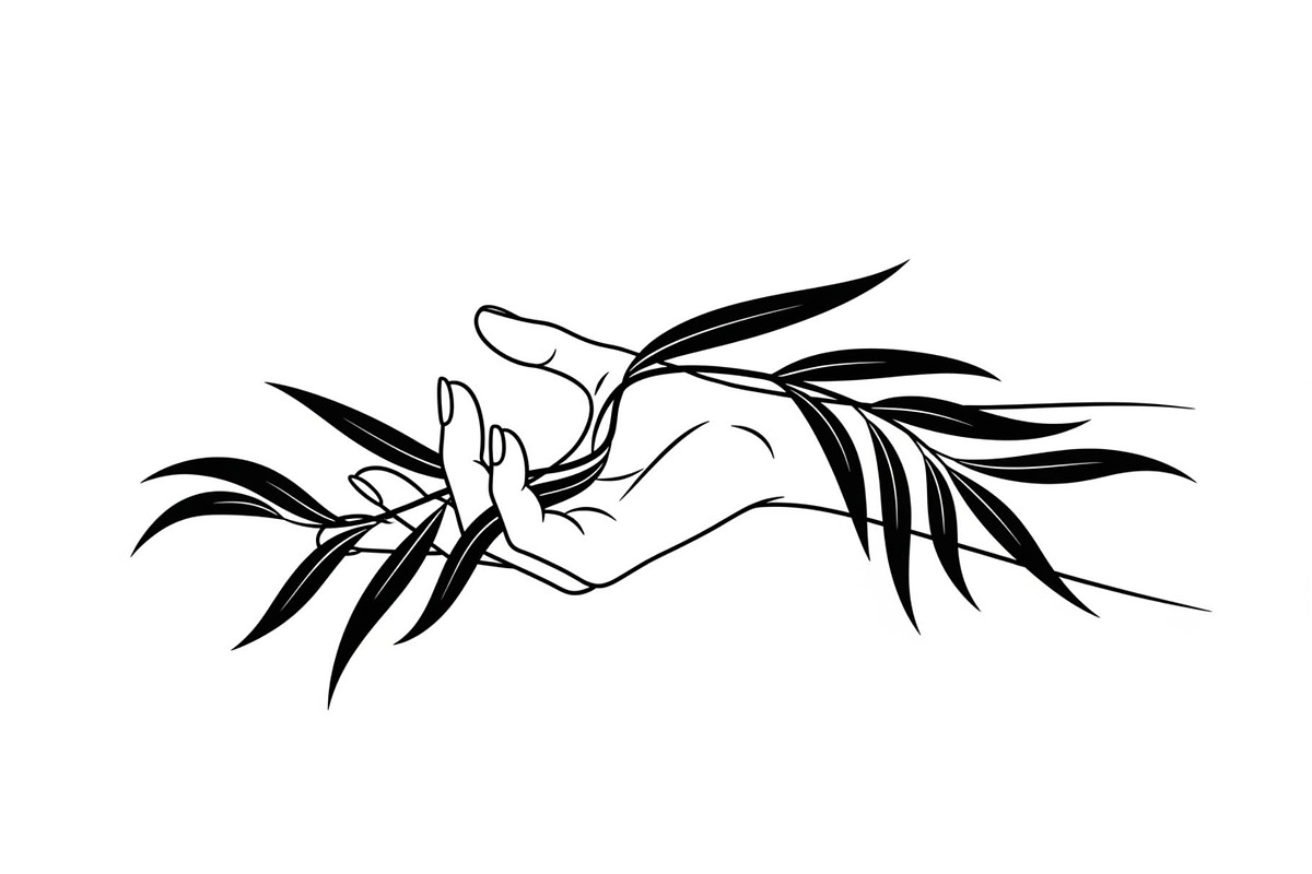 Hand Plant Growth Bundle, an Illustration by yasushie (Photo 14 of 31)