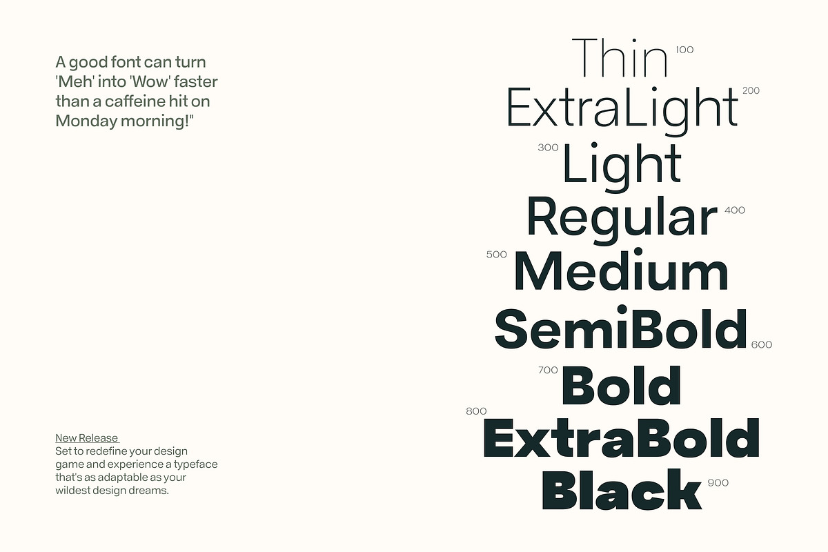 Cora Montserra - Modern Sans 9 Fonts, a Sans Serif Font by Casloop Studio (Photo 4 of 9)