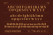 Gidora Elegant Serif Font, a Serif Font by Perfectype (Thumbnail 8 of 8)