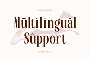 Arcenix - Serif Display Font, a Serif Font by Flawless And Co (Thumbnail 10 of 10)