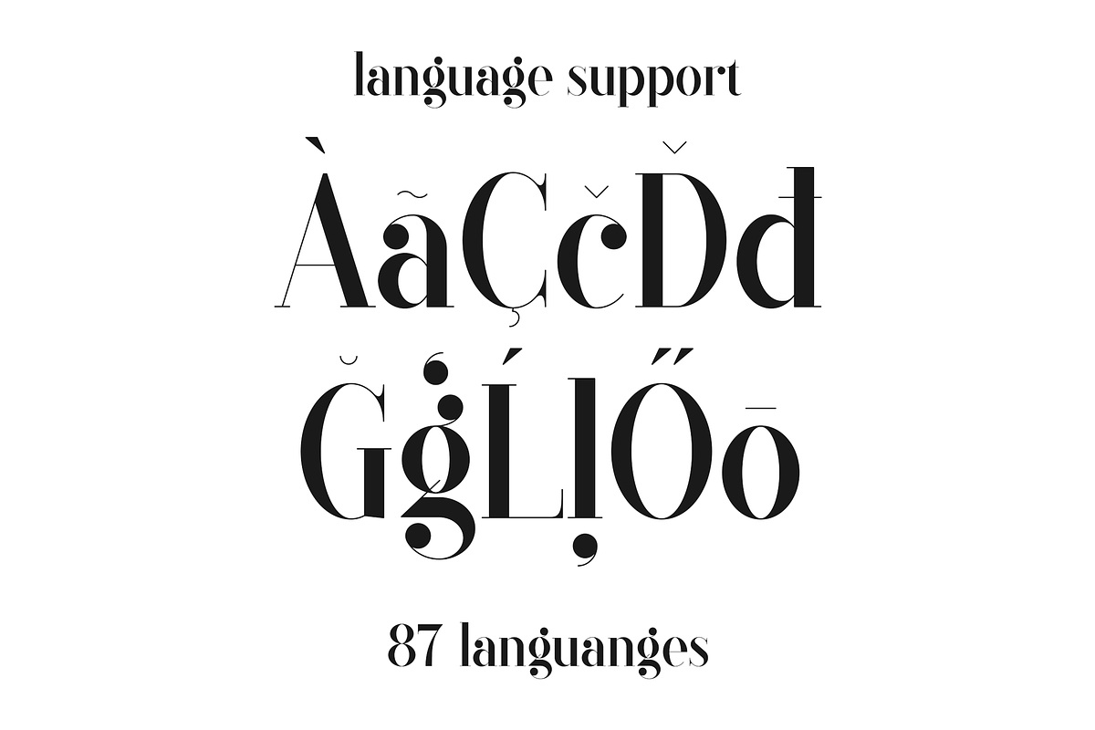 Black Goose Typeface - 5 fonts, a Serif Font by VP Fonts (Photo 13 of 15)