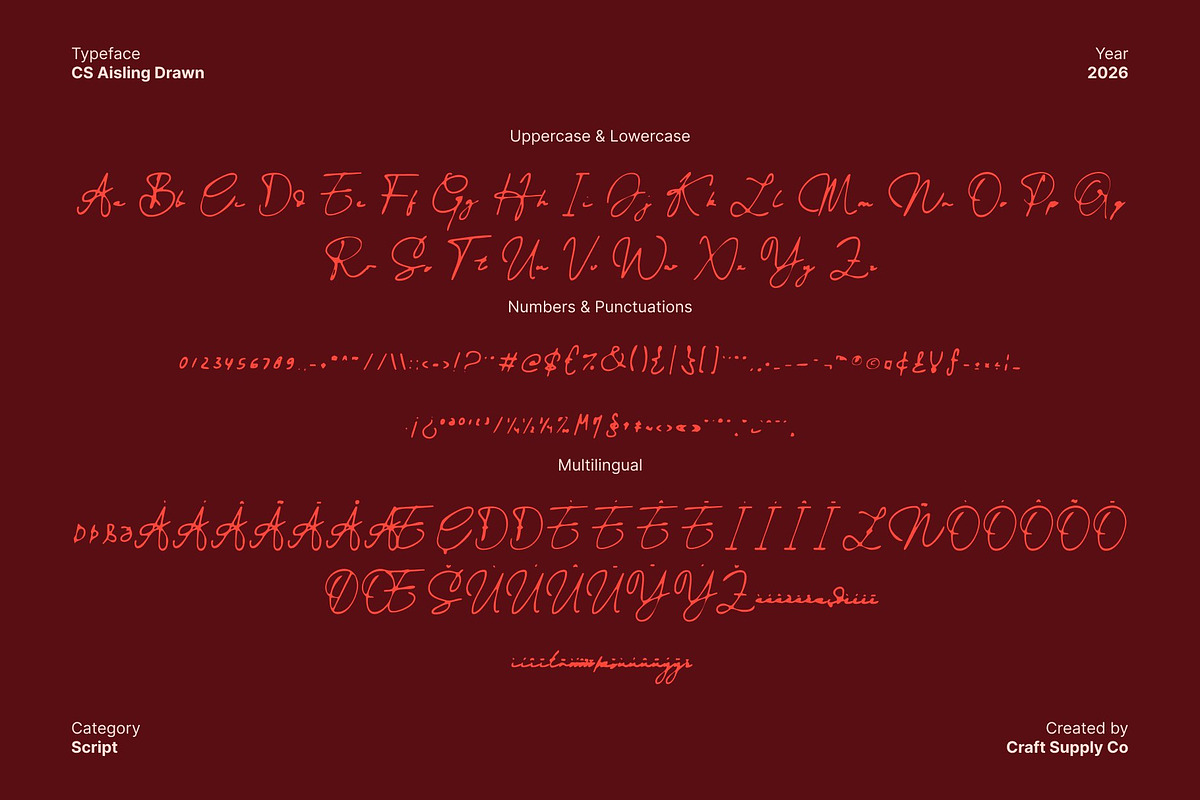 CS Aisling Drawn, a Handwritten Font by Craft Supply Co. (Photo 8 of 8)