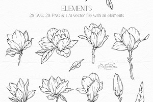 Magnolia Line Drawing Collection