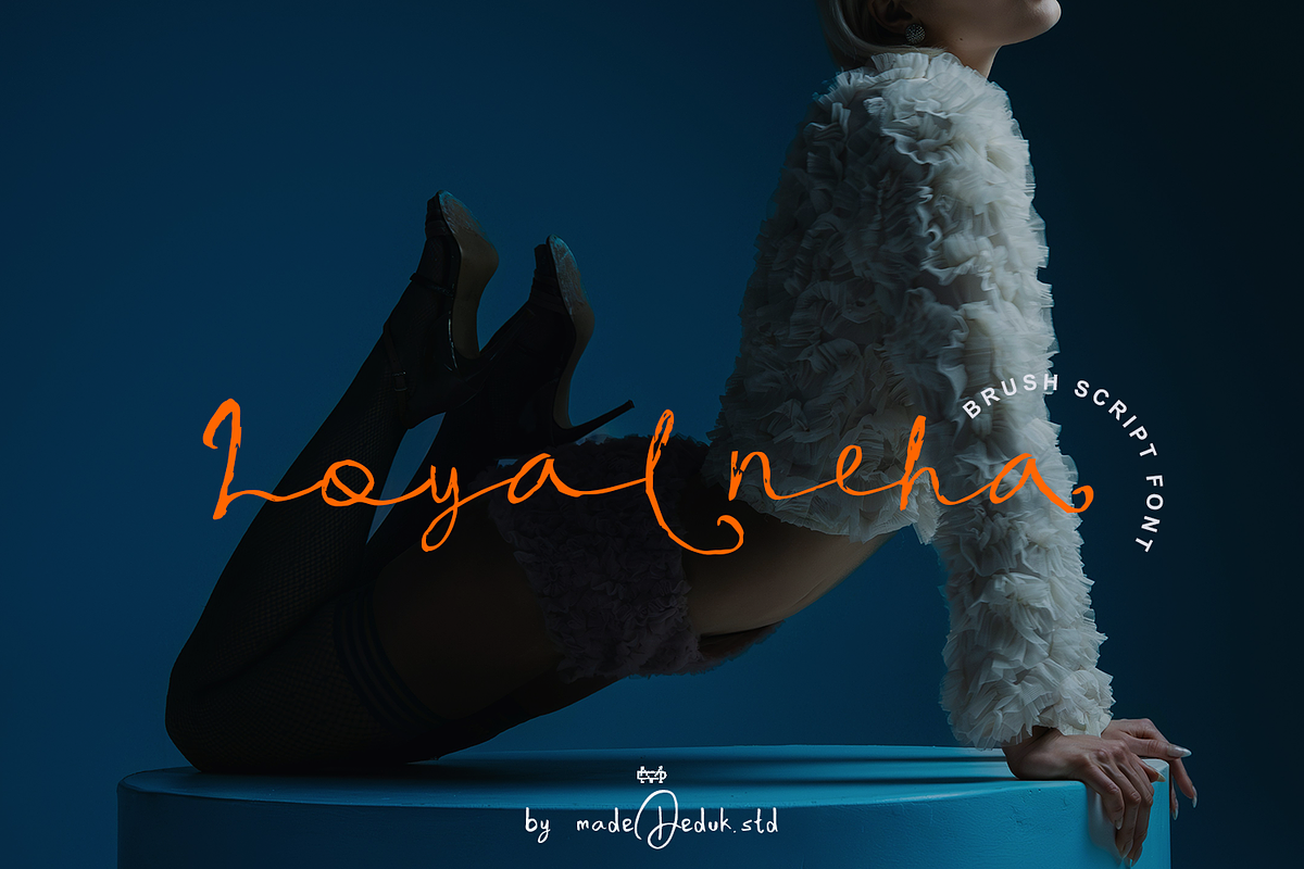 Loyalneha Brush Script, a Script Font by madeDeduk (Photo 1 of 8)