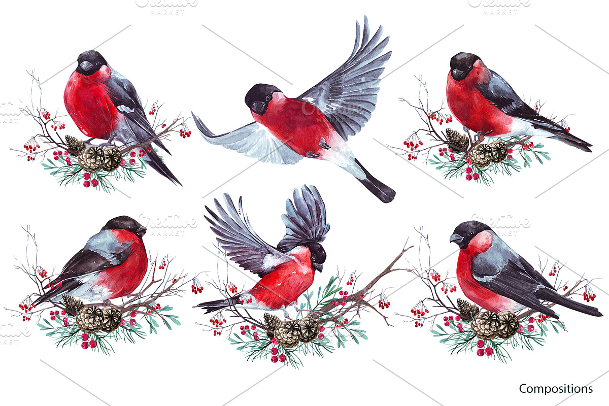 Watercolor winter story, an Illustration by YuliaBiser (Photo 6 of 11)