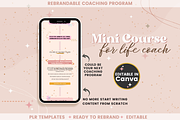 Mini Course for Female Life Coach, a Templates & Theme by bellaROSEworkshop (Thumbnail 6 of 10)