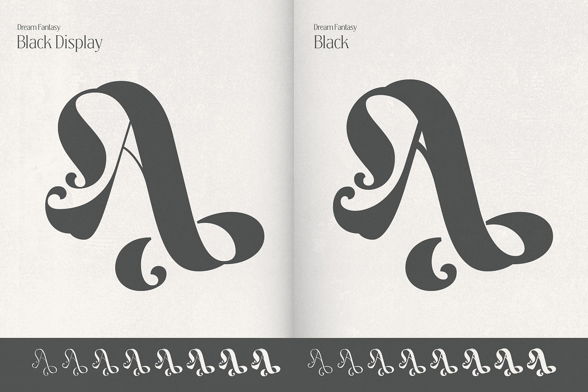 Dream Fantasy - Decorative Font, a Serif Font by creativemedialab (Photo 4 of 16)