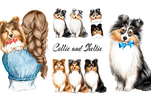 Collie and Sheltie dog set. Dogs art