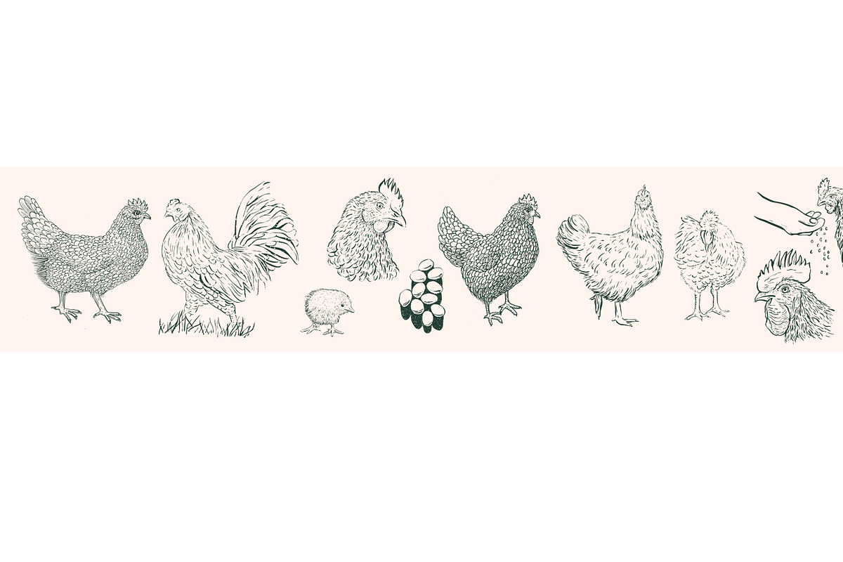 Chicken svg, an Icon by Anada Arty