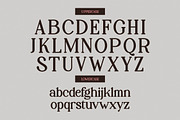 Palenk Radney | Modern Retro Serif, a Serif Font by Denustudios (Thumbnail 10 of 13)