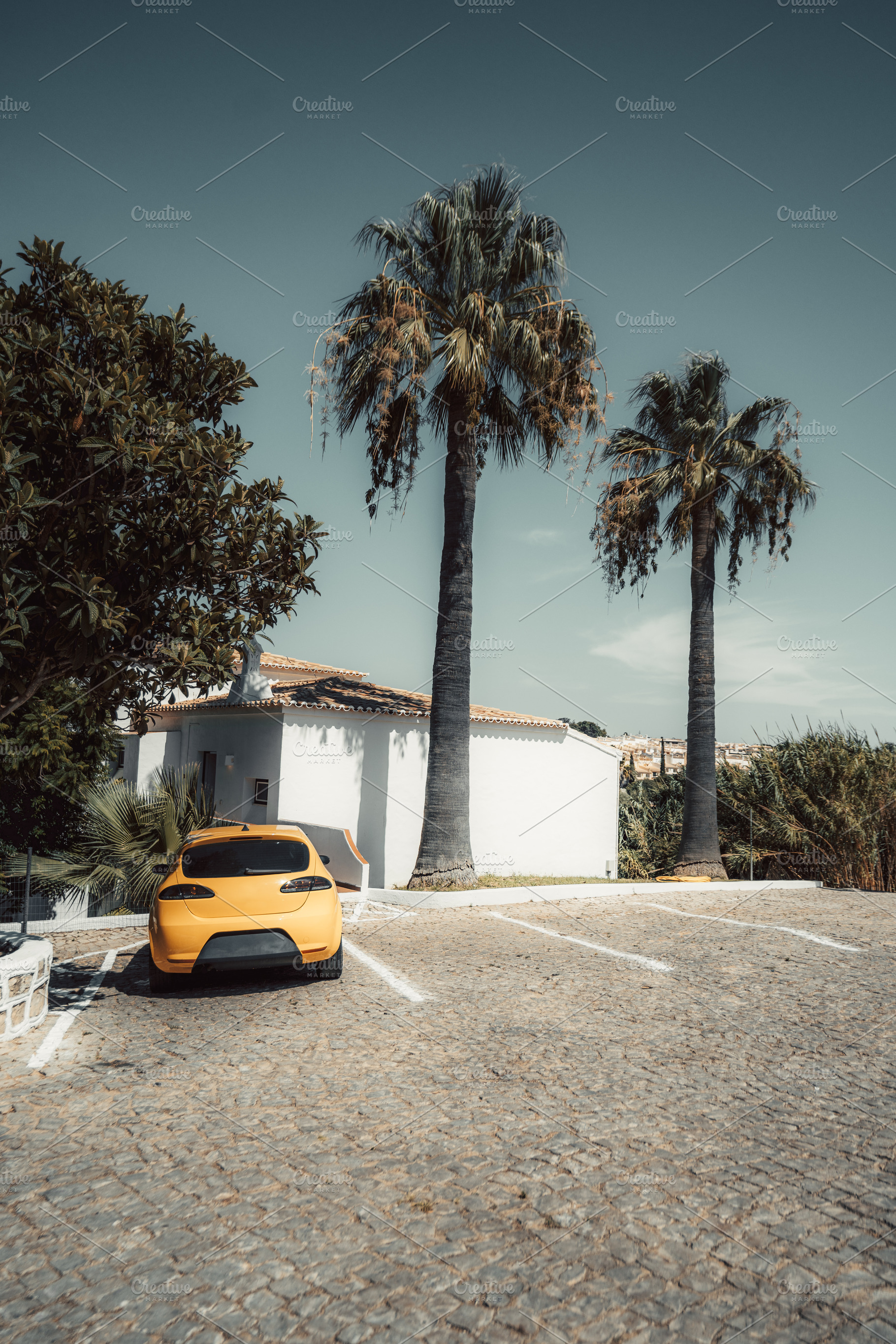 Orange Car Beneath Twin Palms, a Transportation Photo by SkyNext