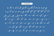 Gartenya Calligraph Modern Font, a Script Font by Letterena Studios Script (Thumbnail 16 of 19)