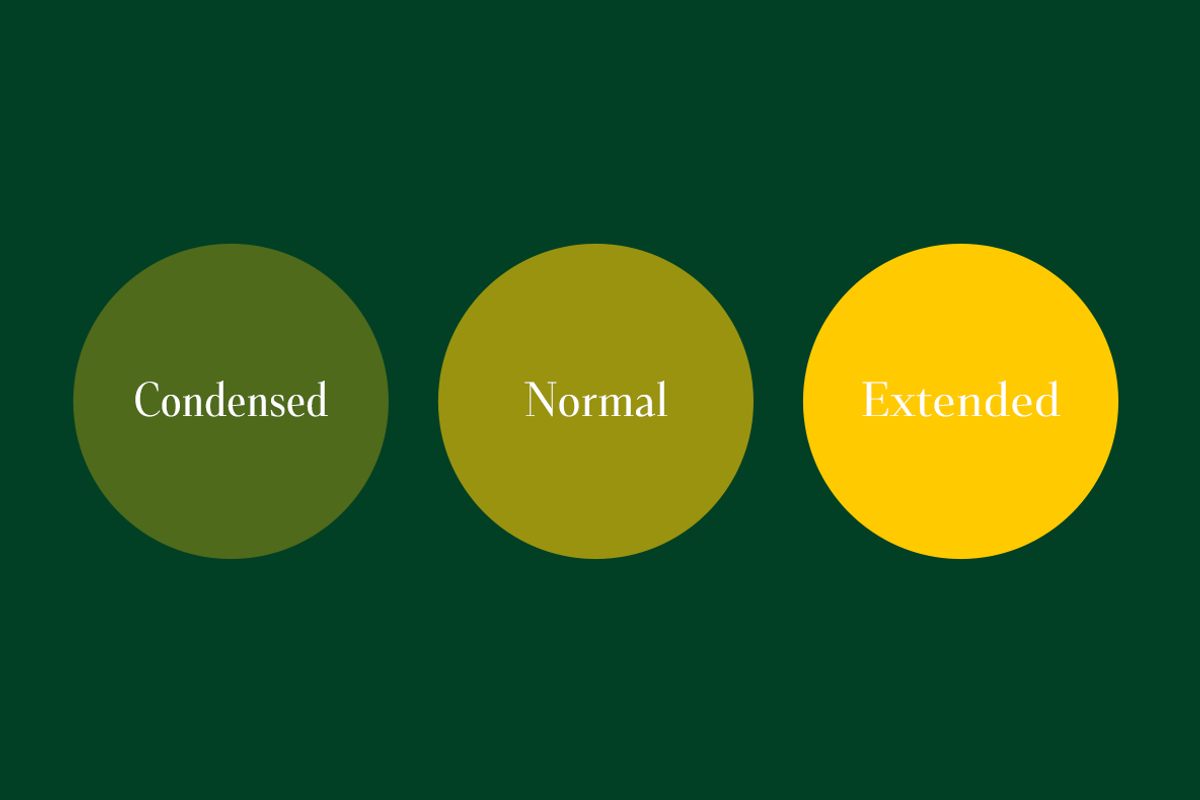 Senlot Didone, a Serif Font by insigne (Photo 2 of 4)